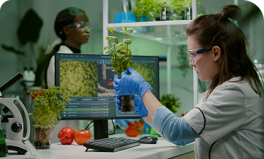 Agriculture and Agricultural Sciences